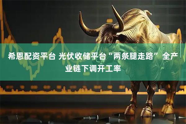 希恩配资平台 光伏收储平台“两条腿走路” 全产业链下调开工率
