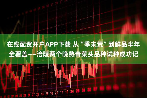 在线配资开户APP下载 从“季末荒”到鲜品半年全覆盖——涪陵两个晚熟青菜头品种试种成功记